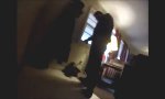 Movie : Schoßhund allein zu Haus