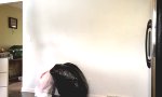 Funny Video - Schaff mich runter, Baby!