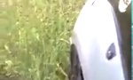 Aligator Vs Jeep                 