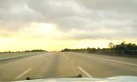 Lustiges Video : Polizei wird geblitzt