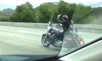 Funny Video : Gassigehen auf der Harley