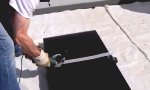 Lustiges Video : Geteiltes Leid ist halbes Leid