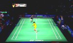 Lustiges Video : Matchball abgewehrt