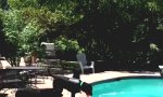 Movie : Hai-Attacke im heimischen Pool