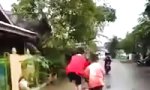 Funny Video - Teamwork Deluxe