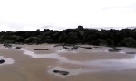 Movie : Kleiner erfrischender Strandspaziergang