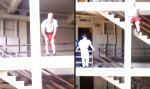 Movie : Matratzensprung aus dem 4. Stock