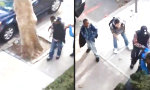 Funny Video - So beendet man einen Fight vom Fenster aus