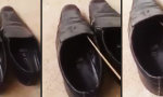 Funny Video : Checke deine Schuhe vor dem Anziehen