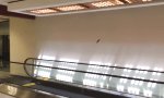 Lustiges Video - Vogel am laufenden Band