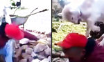 Movie : Nich mal in Ruhe arbeiten kann man hier