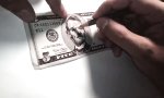Lustiges Video - 5 Dollar Bill Murray