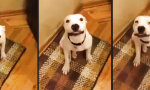 Movie : Say cheese!