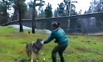 Lustiges Video : Alpha-Bitch im Wolfsrudel