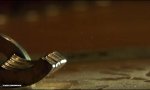 Lustiges Video - Magnete in Zeitlupe