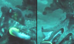 Lustiges Video - Kuttelfisch spielt fangen mit Oktopus