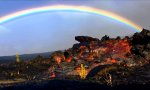 Movie : Heißer Regenbogen