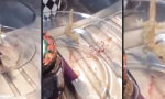 Lustiges Video : Marmeladenreste schlecken im Takt