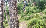 Lustiges Video : Mit der Zipline durch den Wald