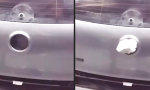 Funny Video - Heckscheibenwischer mit Style