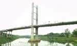 Lustiges Video - Kollektiver Sprung von der Brücke