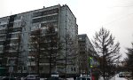 Funny Video - Müllentsorgung auf Russisch