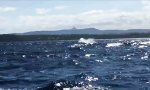 Funny Video - Neulich beim Wale-Beobachten