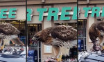 Funny Video : Frühstück am Parkplatz