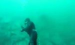 Lustiges Video : Begegnung in trübem Gewässer