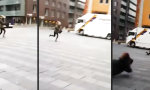Lustiges Video : Kommt ein Menschlein geflogen