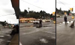 Lustiges Video - Die Polizei und der Seelöwe
