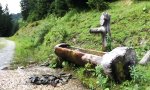 Funny Video : Trollender Trinkwasserbrunnen