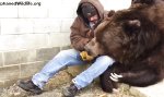 Lustiges Video : 3 Meter großen Bären trösten