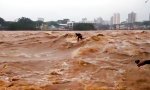 Im reißenden Hochwasser surfen