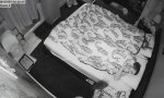 Movie : Hase vs Gute Nacht