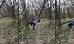 Lustiges Video - Vladin, die Gepfählte