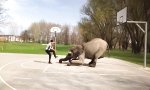 Lustiges Video - Dickhäutige Hilfe beim Dunken
