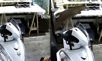 Funny Video - Katze vs Porzellankatze