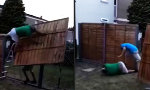 Funny Video : Ein harmonierendes Team