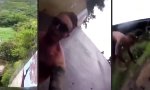 Movie : Rutsche für Draufgänger