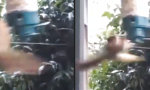 Funny Video : You Spin Me Right Round *Squirrel-Version