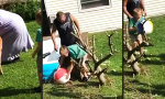 Lustiges Video : Verspielter Besuch aus dem Wald