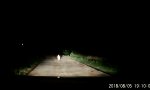 Lustiges Video : Nachts über vietnamesische Landstraßen düsen