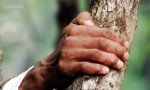 Movie : Und stetig fällt der Felsen