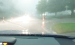 Lustiges Video : Signalfarbener Verkehrsteilnehmer