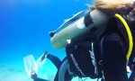Lustiges Video : Keine Panik nahe der Titanik