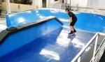 Funny Video : Die Skater-Welle