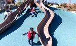 Funny Video : Wer braucht schon eine Rutsche...