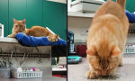 Movie : Die volle Dröhnung!
