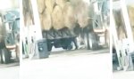 Lustiges Video - Perfekte Umstände um ein paar Funken zu schlagen